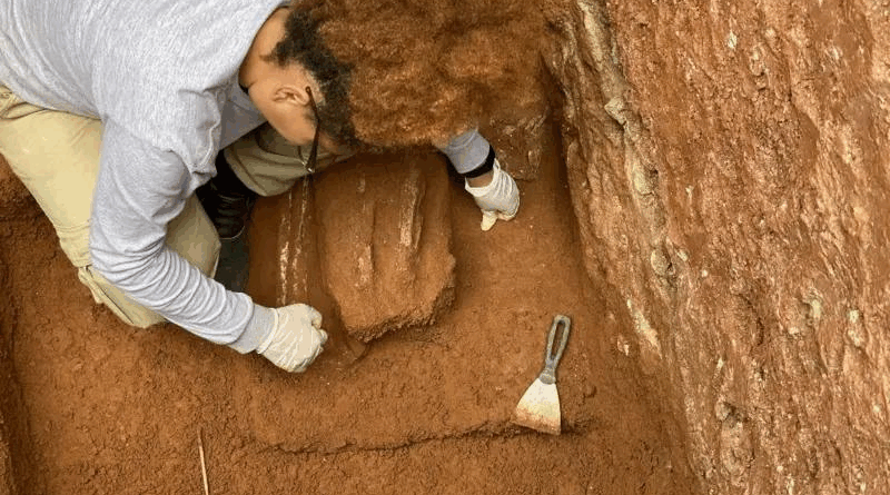 Nova descoberta na Capela dos Aflitos é revelada no mês da Consciência Negra estos mortais encontrados na Capela dos Aflitos. Divulgação: Zanettini Arqueologia
